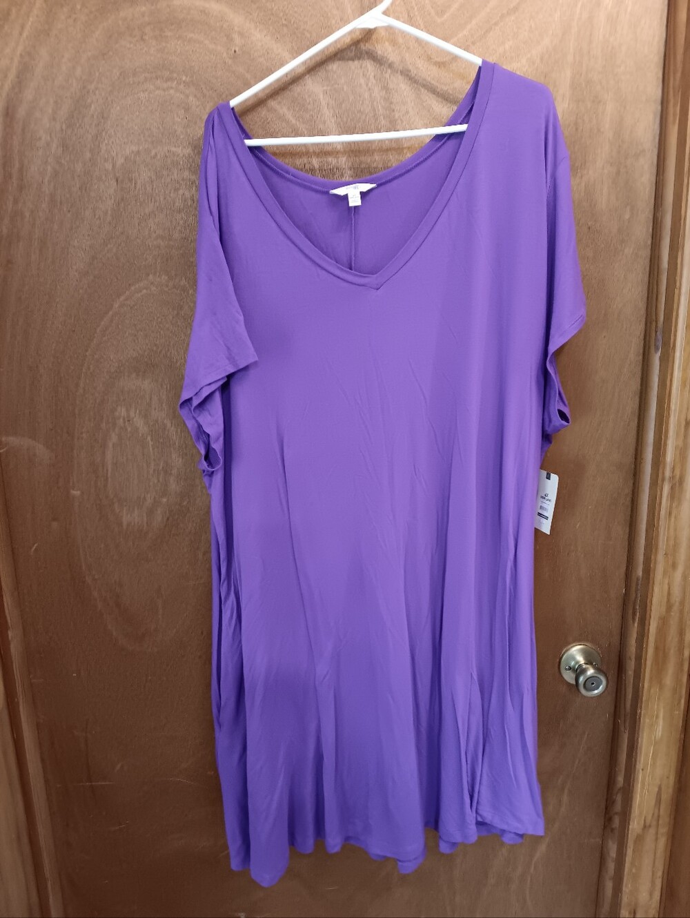 Terra &Sky Purple V-Neck Tunic Dress
